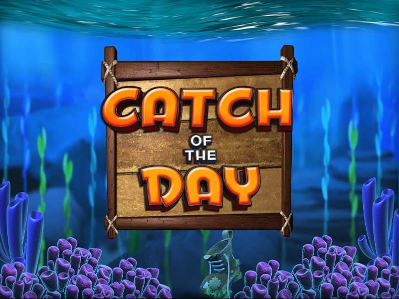 Catch of the Day Esports Tournament